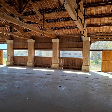 Vila Mas De Bonnafoux Beaucaire  Exteriér fotografie